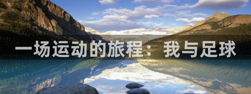 betway西汉姆联：一场运动的旅程：我与足球