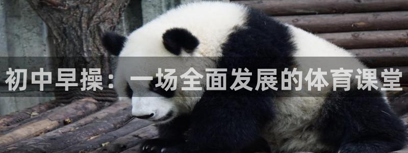 betway西汉姆联：初中早操：一场全面发展的体育课堂