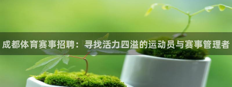 betway西汉姆联官网：成都体育赛事招聘：寻找活力四溢的运动员与赛事管理者