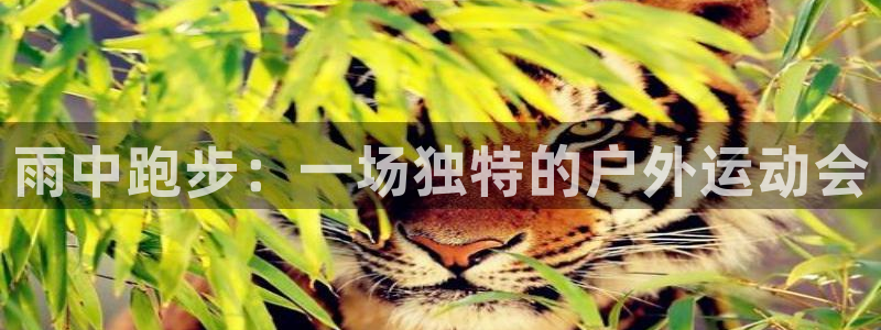 betway西汉姆：雨中跑步：一场独特的户外运动会