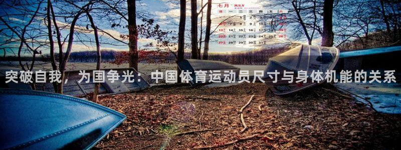 betway西汉姆：突破自我，为国争光：中国体育运动员尺寸与身体机能的关系