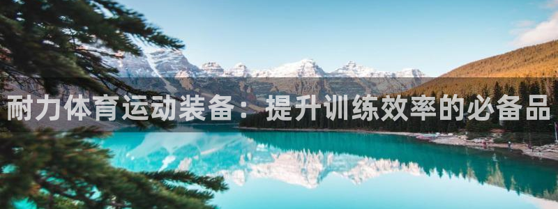 betway西汉姆：耐力体育运动装备：提升训练效率的必备品