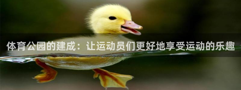 必威betway西汉姆联：体育公园的建成：让运动员们更好地享受运动的乐趣
