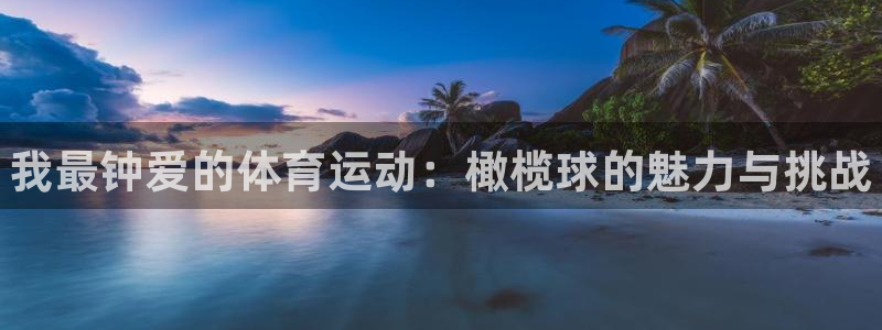 必威betway西汉姆联：我最钟爱的体育运动：橄榄球的魅力与挑战