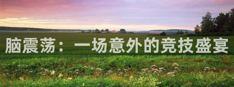 betway西汉姆：脑震荡：一场意外的竞技盛宴