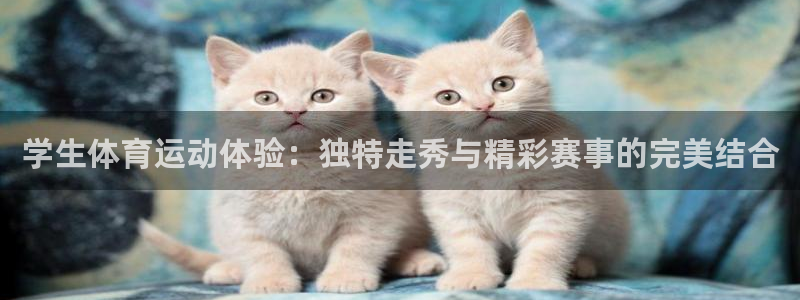 betway西汉姆联官网：学生体育运动体验：独特走秀与精彩赛事的完美结合