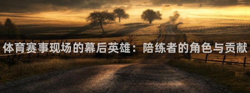 betway西汉姆联：体育赛事现场的幕后英雄：陪练者的角色与贡献