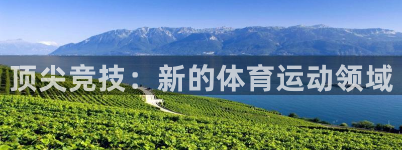 必威betway西汉姆联：顶尖竞技：新的体育运动领域