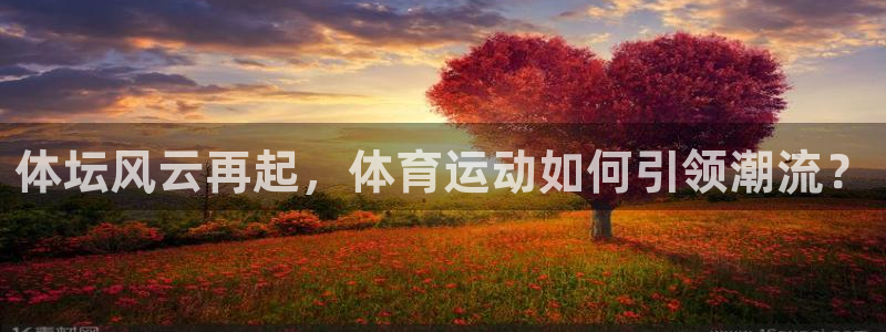 betway西汉姆联官网：体坛风云再起，体育运动如何引领潮流？