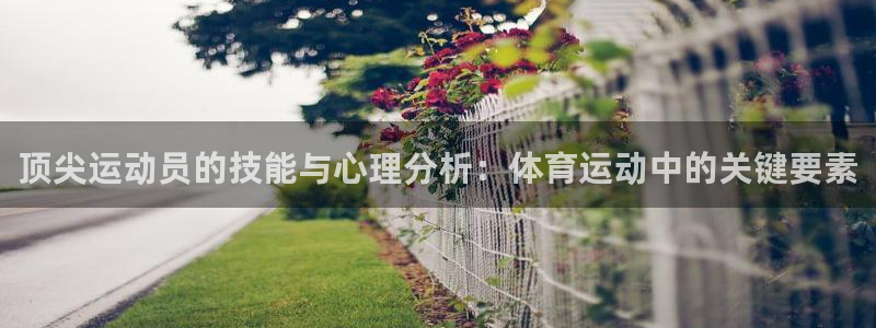 betway西汉姆：顶尖运动员的技能与心理分析：体育运动中的关键要素