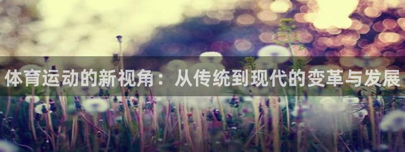 betway西汉姆联官网：体育运动的新视角：从传统到现代的变革与发展