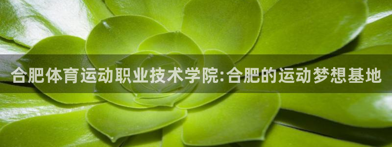 betway西汉姆：合肥体育运动职业技术学院:合肥的运动梦想基地