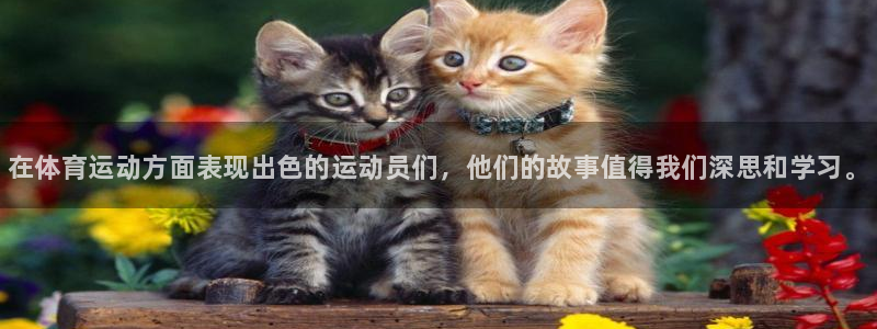 必威betway西汉姆联：在体育运动方面表现出色的运动员们，他们的故事值得我们深思和学习。