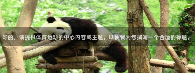 必威betway西汉姆联：好的，请提供体育运动的中心内容或主题，以便我为您撰写一个合适的标题。
