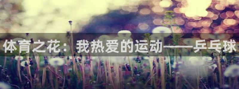 必威betway西汉姆联：体育之花：我热爱的运动——乒乓球