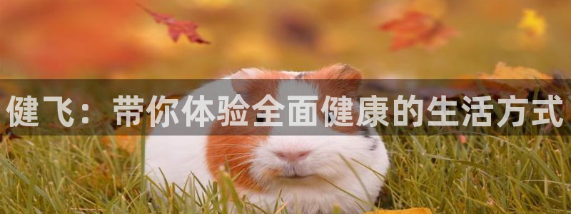 betway西汉姆：健飞：带你体验全面健康的生活方式