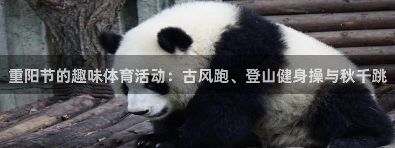 betway西汉姆：重阳节的趣味体育活动：古风跑、登山健身操与秋千跳