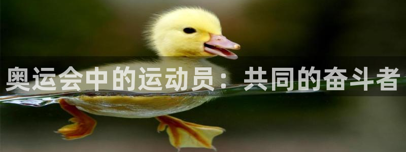betway西汉姆联：奥运会中的运动员：共同的奋斗者