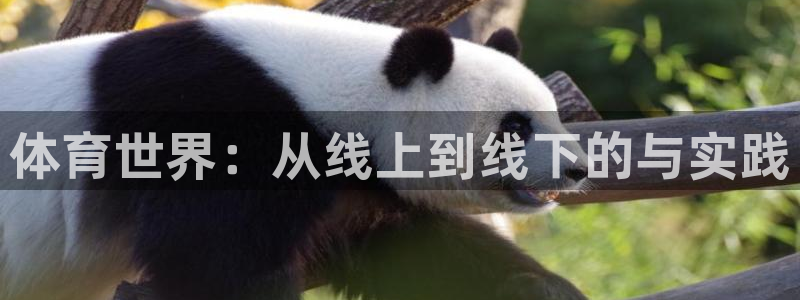 betway西汉姆联官网：体育世界：从线上到线下的与实践