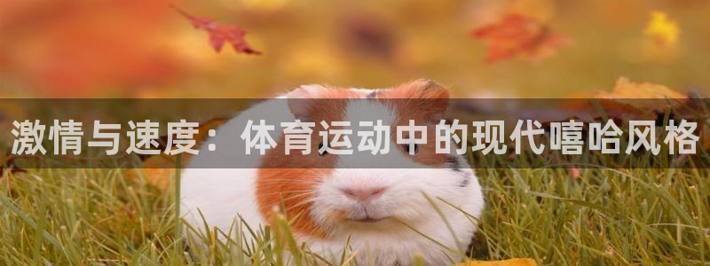 betway西汉姆官网：激情与速度：体育运动中的现代嘻哈风格