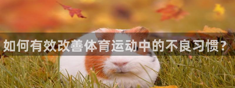 betway西汉姆：如何有效改善体育运动中的不良习惯？