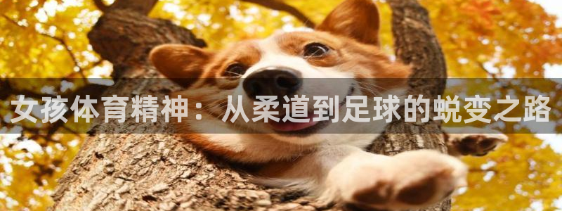 betway西汉姆：女孩体育精神：从柔道到足球的蜕变之路