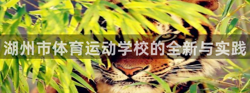 betway西汉姆联：湖州市体育运动学校的全新与实践