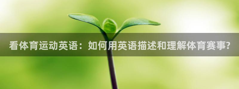 betway西汉姆官网：看体育运动英语：如何用英语描述和理解体育赛事?