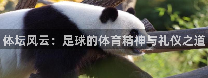 betway西汉姆联官网：体坛风云：足球的体育精神与礼仪之道