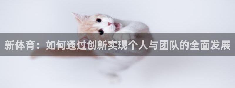 betway西汉姆官网：新体育：如何通过创新实现个人与团队的全面发展